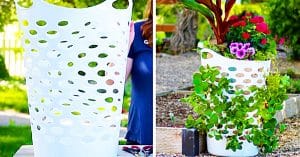 How To Make A Strawberry Planter Out Of A Laundry Basket