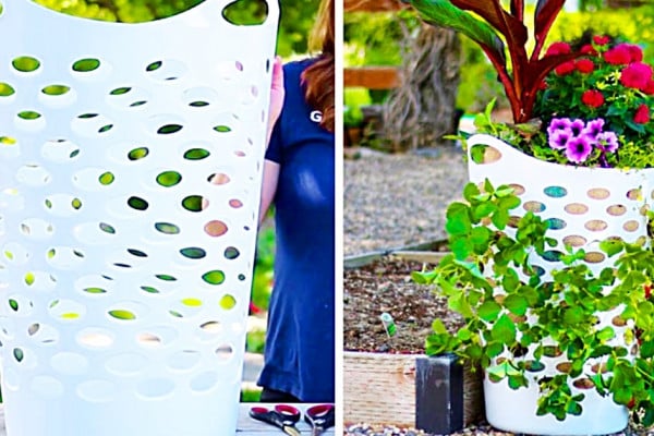 How to make a strawberry planter from a laundry basket using a burlap sack