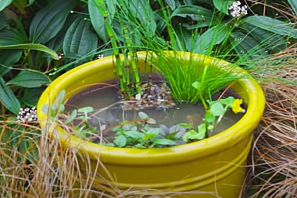 mini outdoor water feature