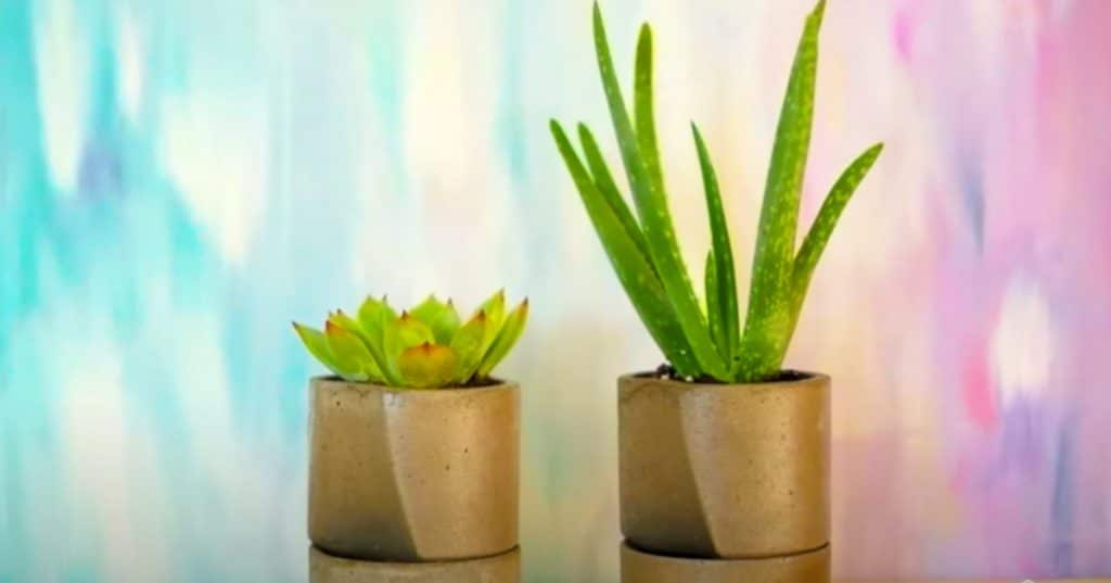 How to make a self watering concrete planter