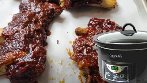 How To Make Crockpot BBQ Ribs | DIY Joy Projects and Crafts Ideas