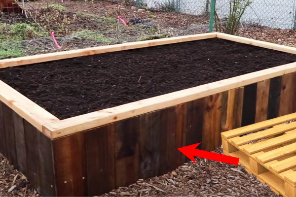 How To Build A Raised Bed Using Pallets | DIY Hacks