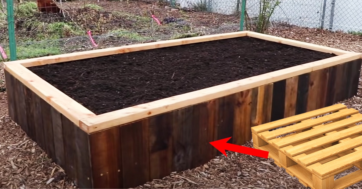 How To Build A Raised Bed Using Pallets, How To Make A Raised Garden Bed From Pallets