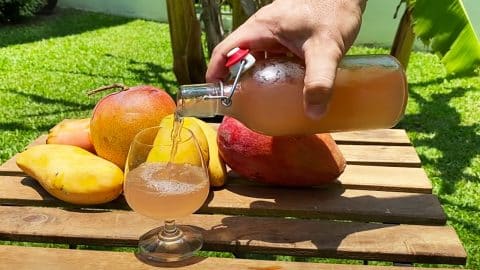 Mango Wine Recipe | DIY Joy Projects and Crafts Ideas