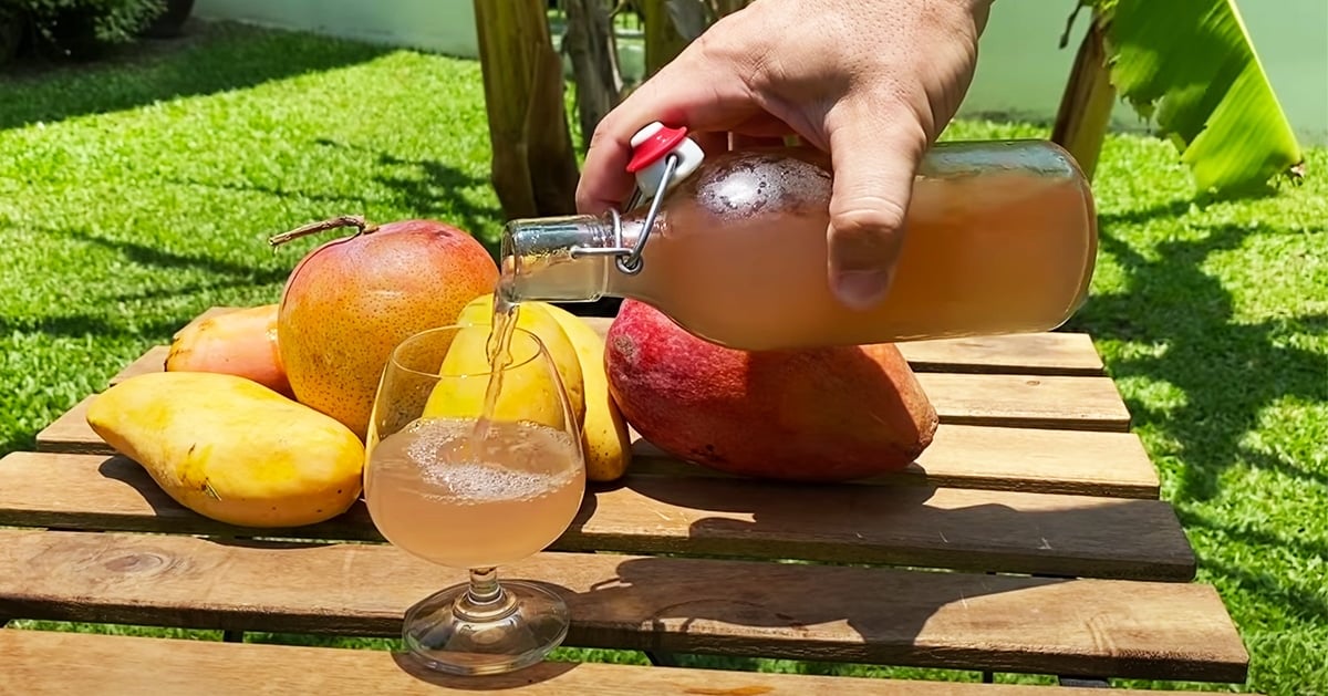 Mango Wine Recipe | DIY Joy Projects and Crafts Ideas