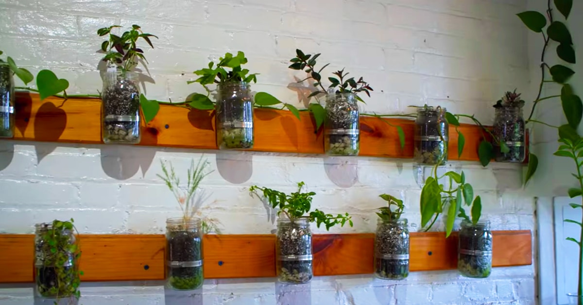 How To Build A Mason Jar Garden | DIY Joy Projects and Crafts Ideas