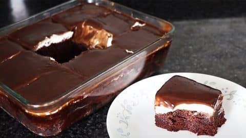 5 Minute Microwave Chocolate Marshmallow Cake Recipe | DIY Joy Projects and Crafts Ideas
