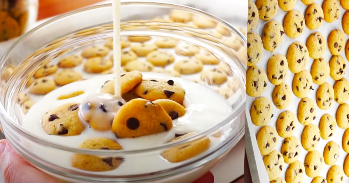 How To Make Mini Chocolate Chip Cookie Cereal | DIY Joy Projects and Crafts Ideas