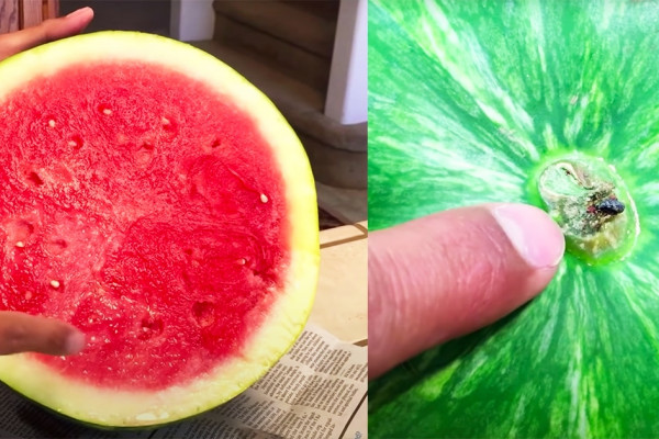 How To Pick A Sweet Watermelon | Tips & Hacks