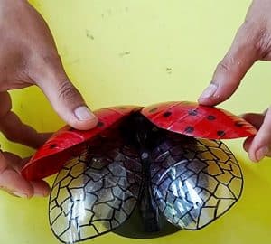 How To Recycle Plastic Bottles Into Ladybugs - DIY Joy