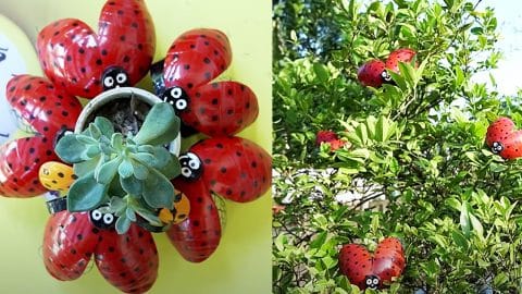 How To Recycle Plastic Bottles Into Ladybugs | DIY Joy Projects and Crafts Ideas
