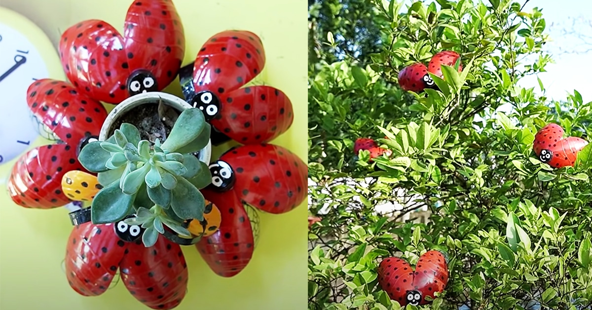 How To Recycle Plastic Bottles Into Ladybugs | DIY Joy Projects and Crafts Ideas