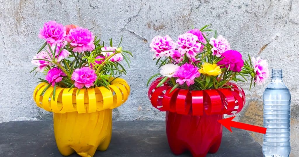 DIY Plastic Bottle Pots | DIY Crafts