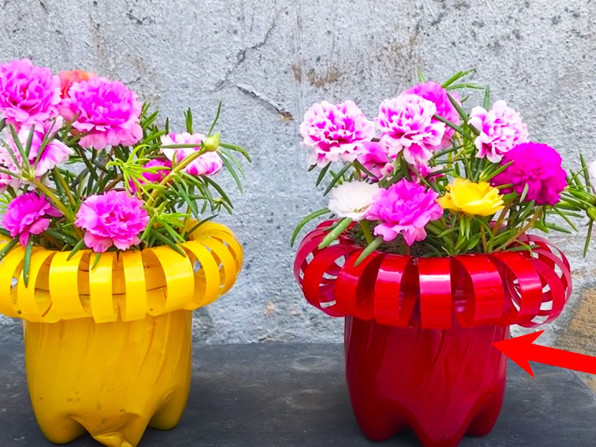 Plastic Flower Pots Blooming Beauty for Your Garden