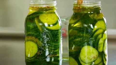 Quick Pickle Recipe | DIY Joy Projects and Crafts Ideas