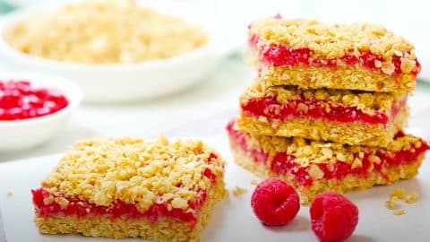 Raspberry Oat Crumble Bar Recipe | DIY Joy Projects and Crafts Ideas