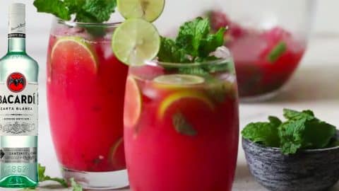 How To Make Watermelon Mojitos | DIY Joy Projects and Crafts Ideas