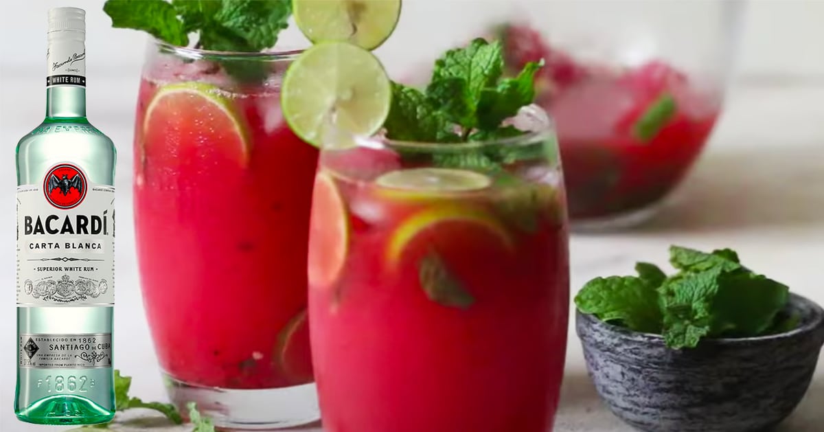 How To Make Watermelon Mojitos | DIY Joy Projects and Crafts Ideas