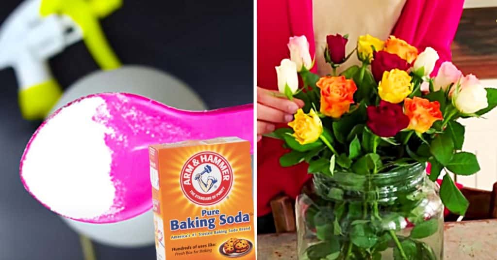 Ten Different Recipes To Use In The Garden With Baking Soada