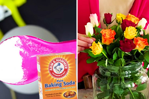 Ten Different Recipes To Use In The Garden With Baking Soada