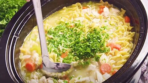 Crockpot Chicken Noodle Soup Recipe | DIY Joy Projects and Crafts Ideas