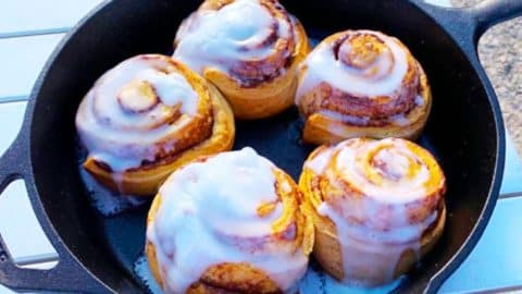 Low Carb Cinnamon Roll Recipe | DIY Joy Projects and Crafts Ideas