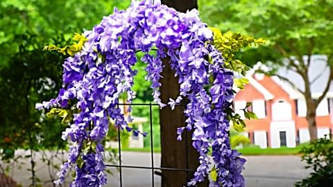 How To Make A Wisteria Arch From Coffee Filters | DIY Joy Projects and Crafts Ideas
