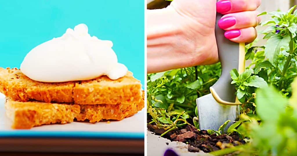 One Hundred Year Old Baking Hacks
