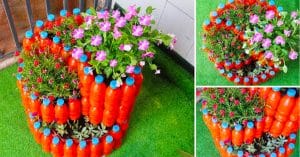 DIY Spiral Garden From Plastic Bottles