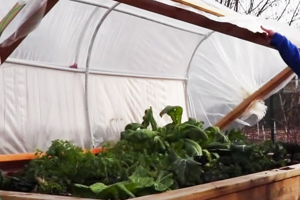 How To Build A Hinged Hoophouse For A Raised Bed | DIY Garden
