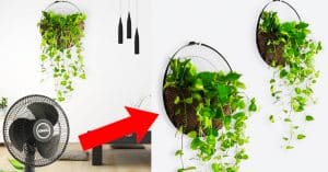 How To Make A Plant Hanging Basket From A Fan Grill