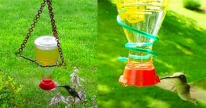 How To Make Hummingbird Feeder From A Soy Sauce Bottle