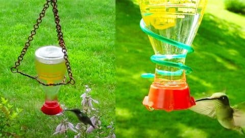How To Make Hummingbird Feeder From A Soy Sauce Bottle | DIY Joy Projects and Crafts Ideas