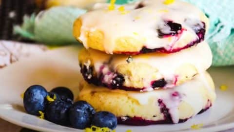 How To Make Soft Homemade Blueberry Cookies | DIY Joy Projects and Crafts Ideas