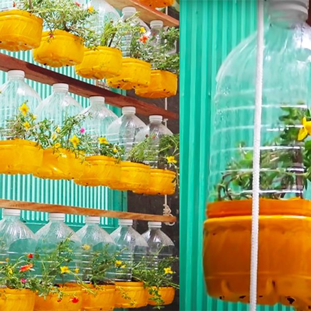 How To Recycle Plastic Bottles Into Hanging Flower Pots - DIY Joy