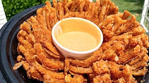 Air Fryer Bloomin Onion Recipe | DIY Joy Projects and Crafts Ideas