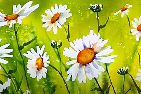 How To Paint Watercolor Daisies