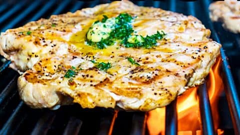 Garlic Butter Grilled Chicken Recipe | DIY Joy Projects and Crafts Ideas