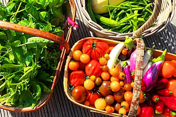 How To Grow Any vegetables Indoors Or On A Small Porch In Containers