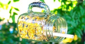 How To Make A Mason Jar Bird Feeder