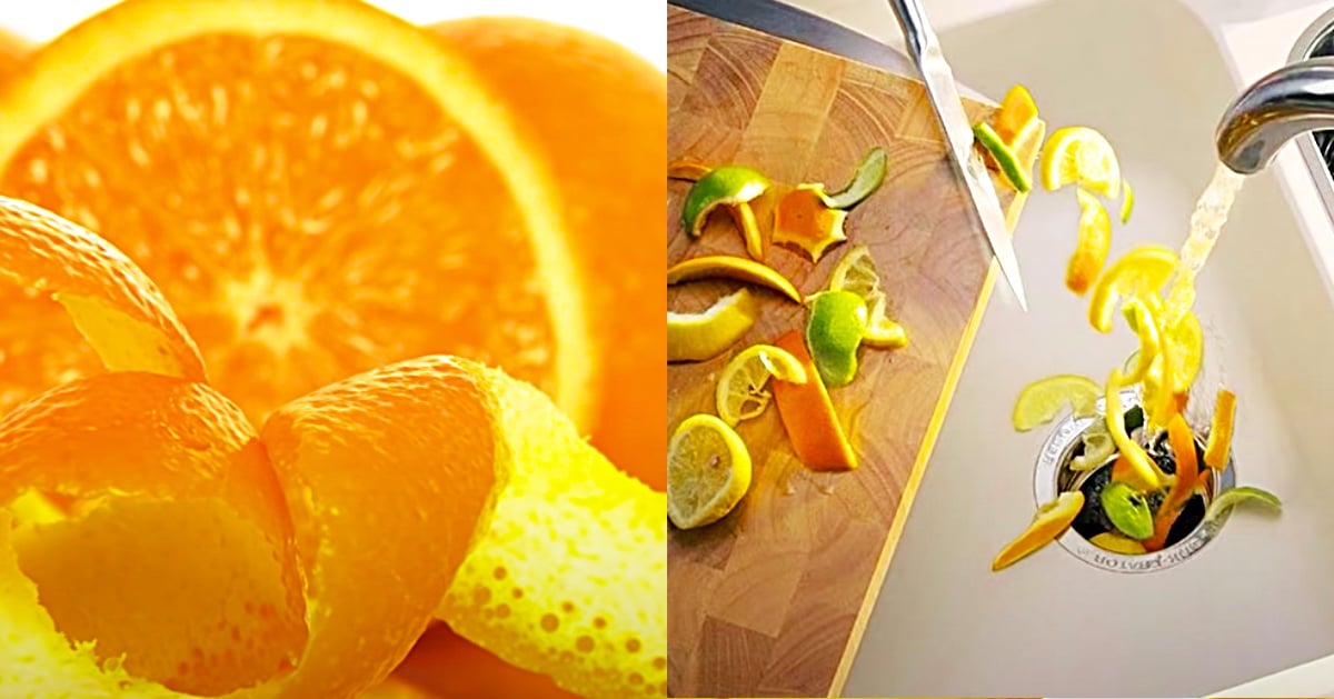 22 Uses For Orange Peel | DIY Joy Projects and Crafts Ideas