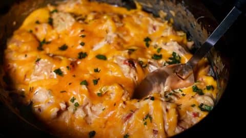 Crockpot Chicken Spaghetti Recipe | DIY Joy Projects and Crafts Ideas