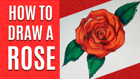 How to Draw A Rose | DIY Joy Projects and Crafts Ideas