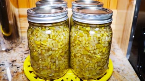 How To Can Sweet Zucchini Relish | DIY Joy Projects and Crafts Ideas