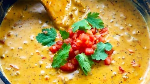 Smoked Queso Dip Recipe | DIY Joy Projects and Crafts Ideas