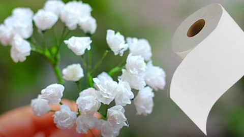 How To Make Baby’s Breath Flowers From Toilet Tissue | DIY Joy Projects and Crafts Ideas