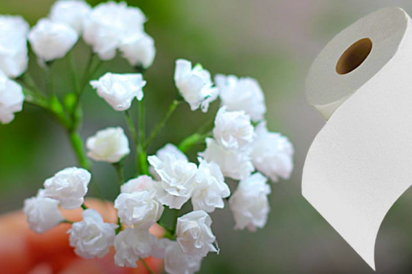 How To Make Baby's Breath Flowers From Toilet Paper