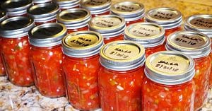 Homemade Canned Zesty Salsa Recipe