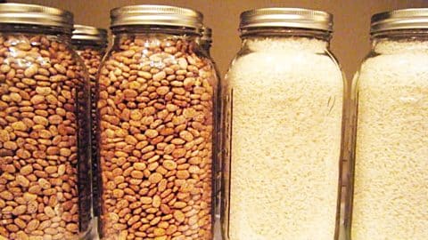 How To Dry Can Beans And Rice | DIY Joy Projects and Crafts Ideas