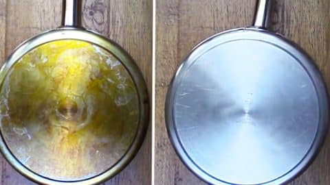 How To Clean Stainless Steel Pots And Pans | DIY Joy Projects and Crafts Ideas